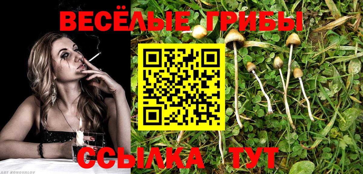 Галлюциногенные грибы мухоморы  Вход с VPN  Мирный 